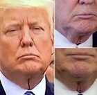 TribeOasis tweet media