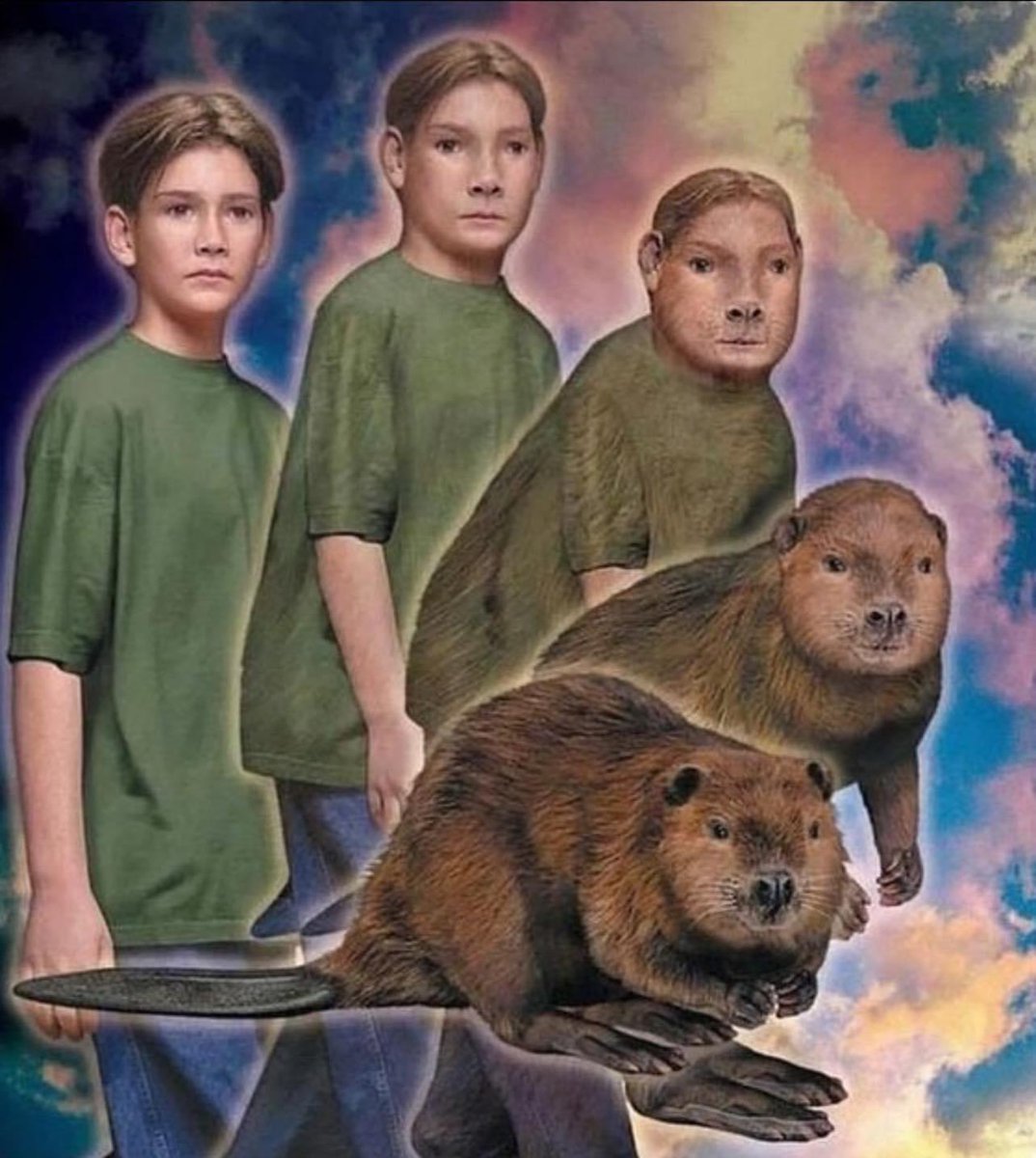 when you get involved with <a href="/BMBeavers/">Bear Market Beavers</a>