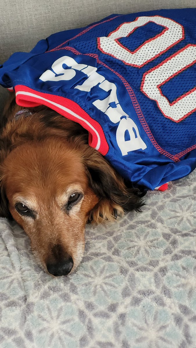 JCzerniecki's tweet photo. @BlueStormComin1 #GoBills #GoHarris https://t.co/LKRsabqTCm