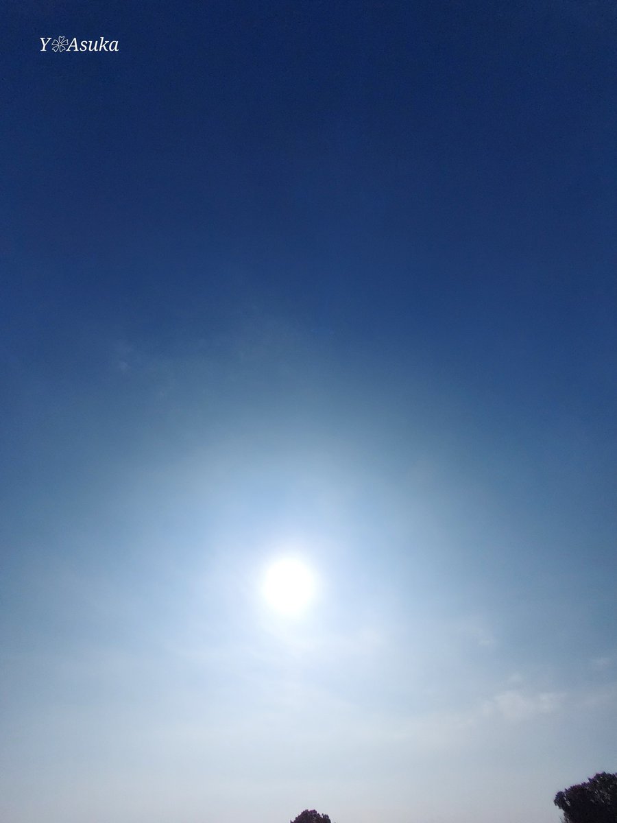 yumeasutw's tweet photo. #青空 にお日様燦々✨ #薄雲 が広がり山々が霞む水曜日の朝🌤️
ポツンと流れ行く #積雲 ☁️

予想最高/最低気温🌡️31℃/20℃
晴れ時々曇り☀️/☁️
お洗濯日和👕👖午後は南風が吹き真夏のような暑さとなりそうです😵💦

#イマソラ #いまそら
#空の名前
#天気の図鑑 #雲の超図鑑
#a2024 #a1002 #a202410 https://t.co/MPeWP7j7py