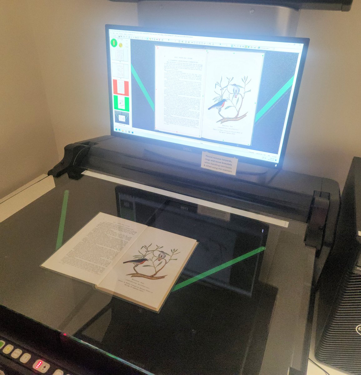 This week we're digitising "The life of Samuel White" (1920) by Samuel Albert White Jr., from <a href="/museumsvictoria/">Museums Victoria</a>'s Library Collection. Samuel Sr. was a naturalist and sailor with a talent for sketching birds! Look out for it soon on @biodivlibrary.