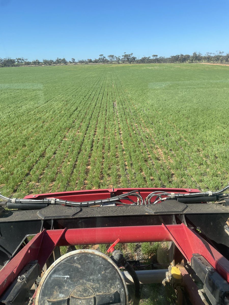 Tim Larwood 🇦🇺 tweet media