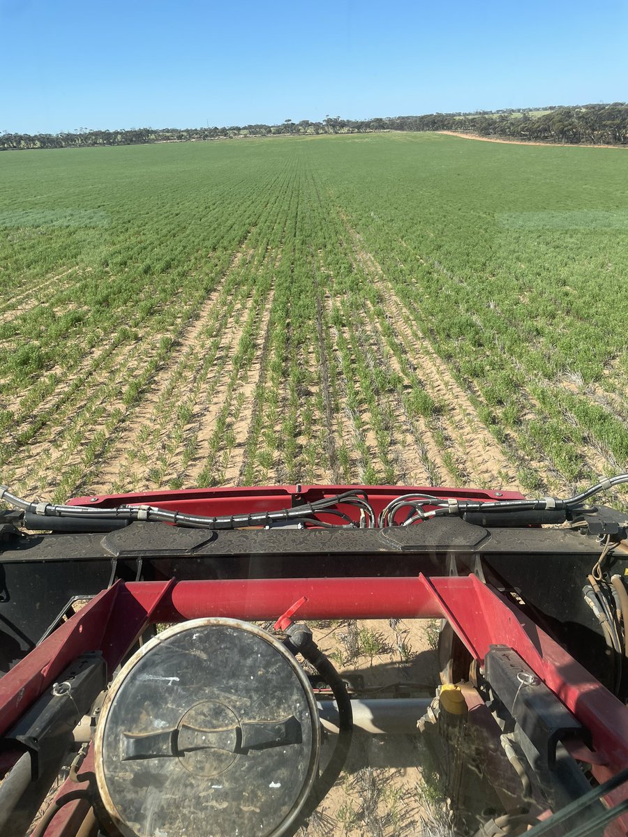 Tim Larwood 🇦🇺 tweet media