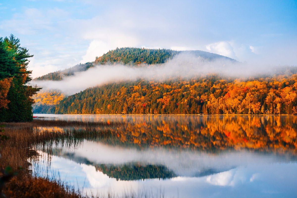 visitmaine's tweet photo. Best Maine fall view. Letβs see βem! Happy #FirstDayofOctober. π #MaineThing
π: Bar Harbor (photo from previous year) https://t.co/XDdZvDtlyM