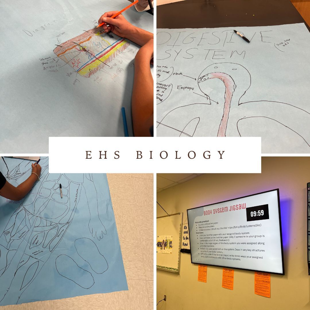 EHSFrisco's tweet photo. Biology students are hard at work exploring the different body systems! 🧠 After diving into their own projects, they'll collaborate and learn from each other's research. 🌟 Peer learning at its best! #BiologyInAction #PrBL #BeAMaverick https://t.co/52cDCPtKk9