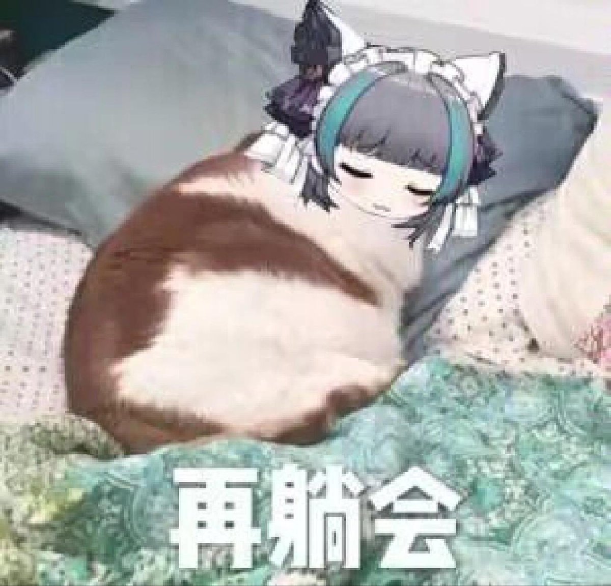 我玩的黄油入🚪可以赠送 https://t.co/f5BJNPBcSH