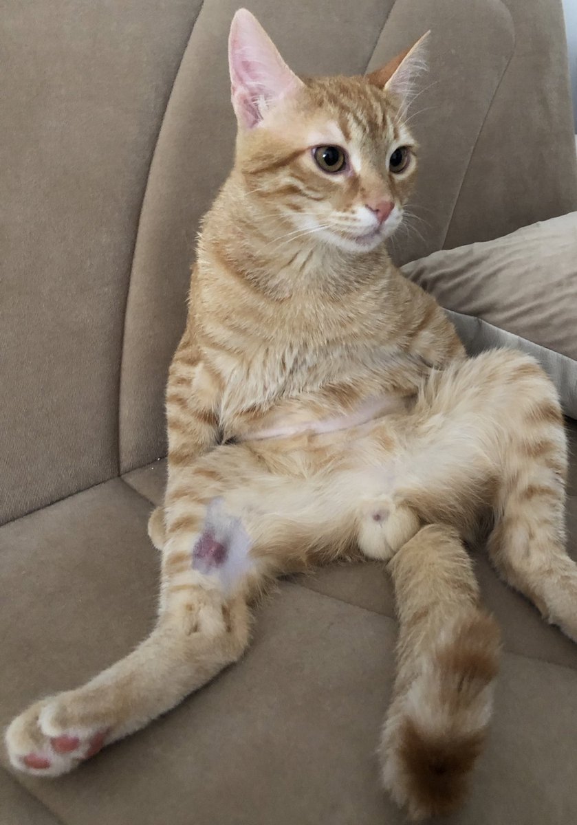 EDEP SEN NE GÜZEL Bİ ŞEYSİN