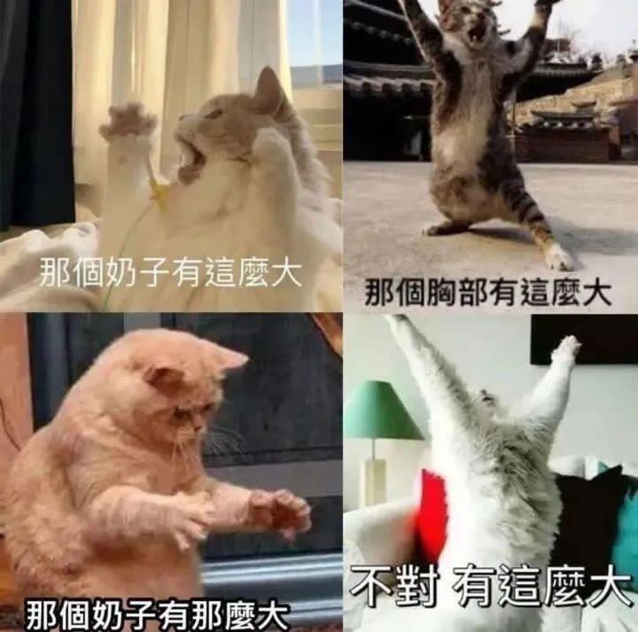 太好笑了吧🤣 https://t.co/jGeTLqXSQq