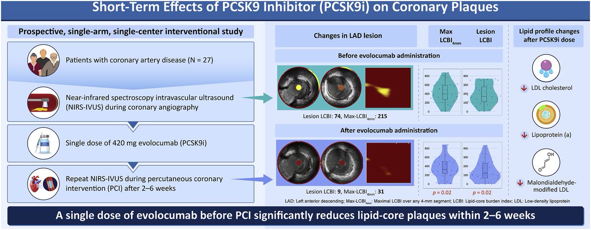 Atherosclerosis (@athjournal) on Twitter photo This study contributes to understanding the effects of PCSK9 inhibitor administration on plaque composition
🔗atherosclerosis-journal.com/article/S0021-…
#Evolocumab #PCS9i #CvPrev <a href="/society_eas/">European Atherosclerosis Society</a> <a href="/ELS_Cardiology/">Elsevier Cardiology</a> This study contributes to understanding the effects of PCSK9 inhibitor administration on plaque composition
🔗atherosclerosis-journal.com/article/S0021-…
#Evolocumab #PCS9i #CvPrev <a href="/society_eas/">European Atherosclerosis Society</a> <a href="/ELS_Cardiology/">Elsevier Cardiology</a>