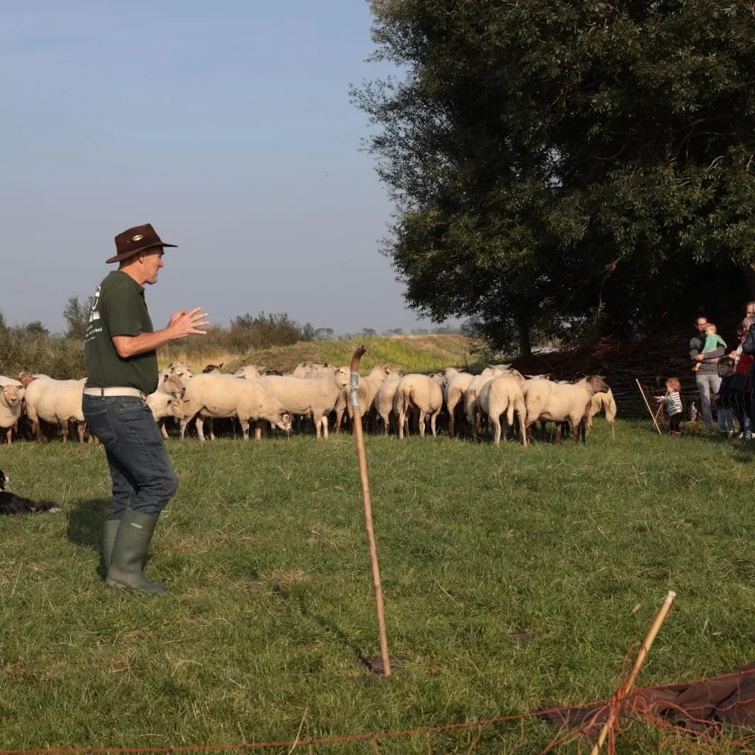 Weidevogels Midden-Delfland (@weidevogels_md) on Twitter photo Boerenoogstfeest bij Adrianushoeve - zaterdag 12 oktober 2024:
jaar2024.middendelfland.net/middendelfland…
<a href="/DelflandMidden/">Midden in Delfland</a> @PuuurMD <a href="/Midden_Delfland/">Gemeente Midden-Delfland</a> Boerenoogstfeest bij Adrianushoeve - zaterdag 12 oktober 2024:
jaar2024.middendelfland.net/middendelfland…
<a href="/DelflandMidden/">Midden in Delfland</a> @PuuurMD <a href="/Midden_Delfland/">Gemeente Midden-Delfland</a>