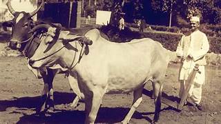 ProfKapilKumar's tweet photo. शास्त्री जी को जन्मदिन की हार्दिक शुभकामनाएं! उनका नारा " जय जवान जय किसान " हर जगह गूंजता है! 
मैं उन्हें 2 अक्टूबर को याद करता हूं, किसी और को नहीं!
A very happy birthday to Shastri ji !
His slogan" Jai Jawan Jai Kisan" echoes all over !
I remember him on 2nd October ,no one else !
@PMOIndia @anujdhar