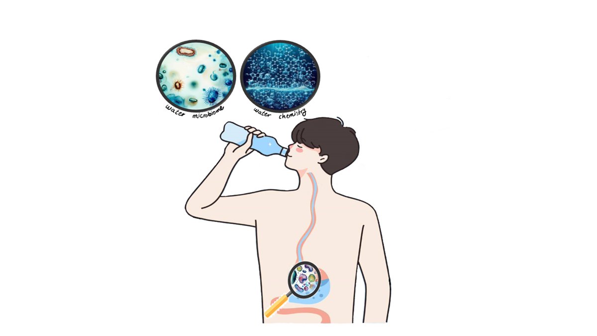 L_Abkar's tweet photo. Excited to share our new publication with Jane @bio_fowler &amp; Hanieh @WaterRes_J
"Making waves: From tap to gut – exploring the impact of drinking water on gut microbiota"
Discover the fascinating link between #drinking #water and #gut #health #microbiome https://t.co/Z4ux8LnAKu https://t.co/dr5eZS0jh7