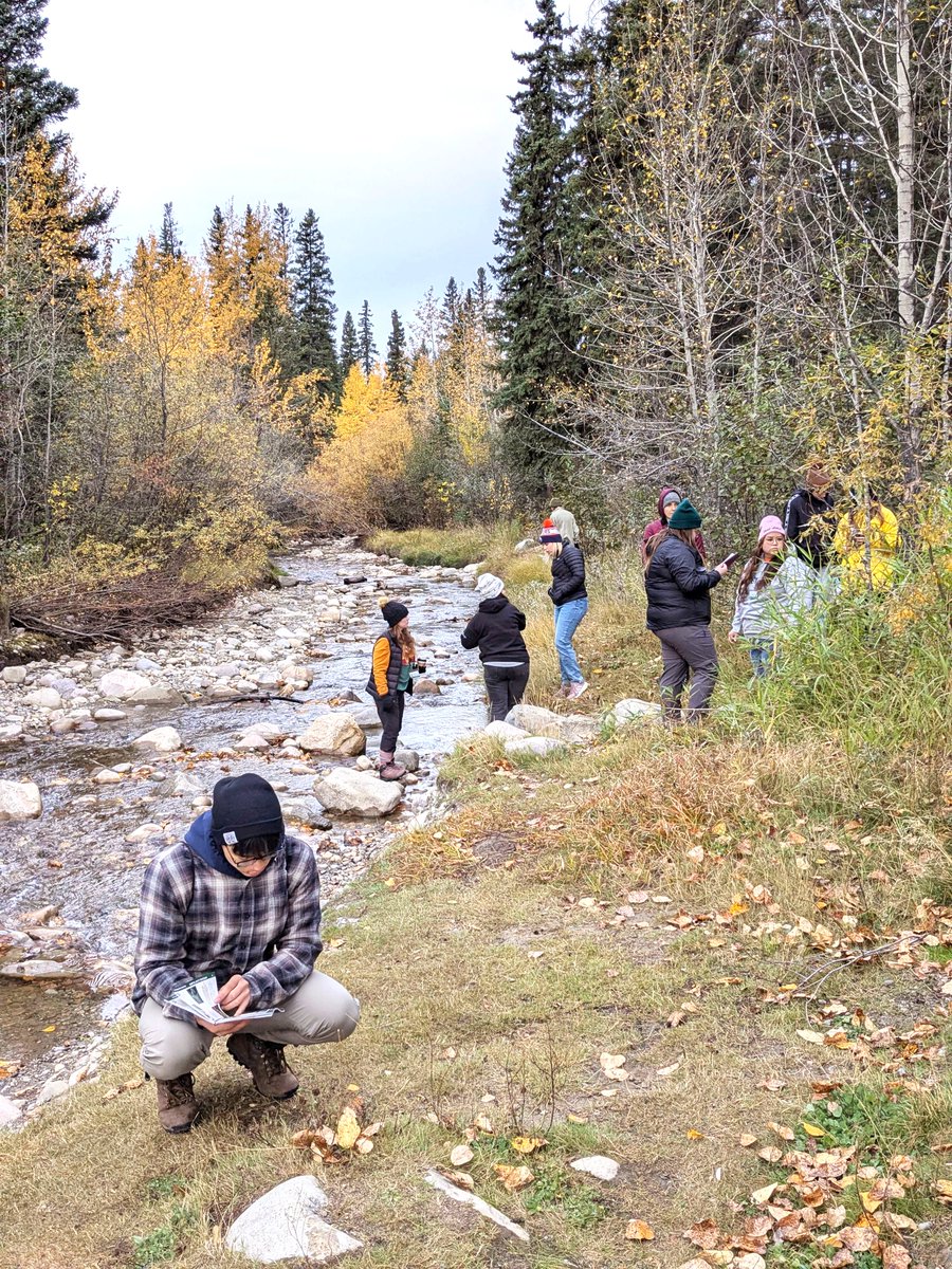 Inside Education tweet media