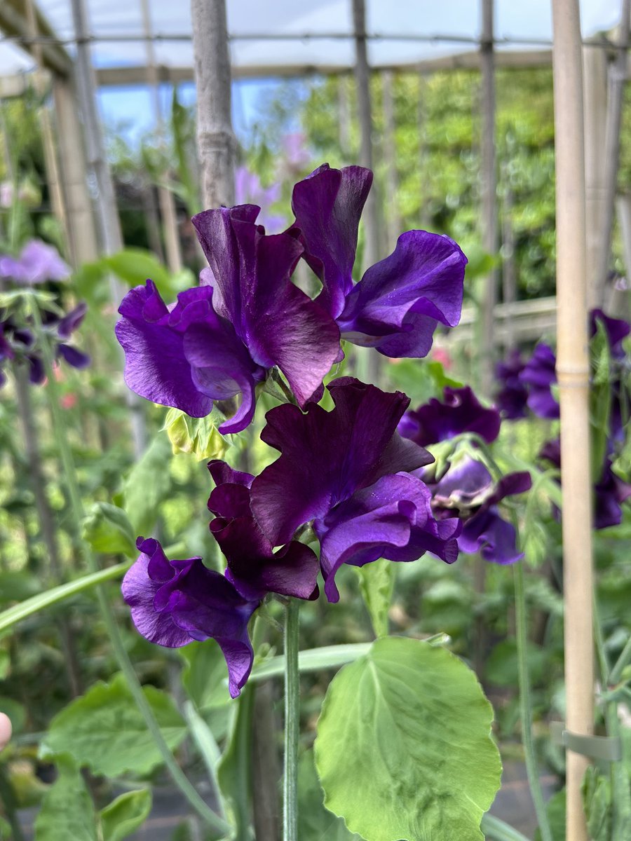 Darren Myers tweet media