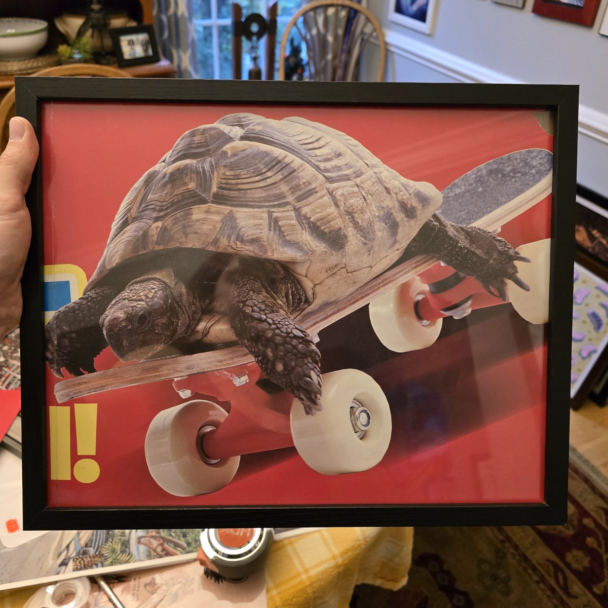 kelsey wailes🐳 tweet media