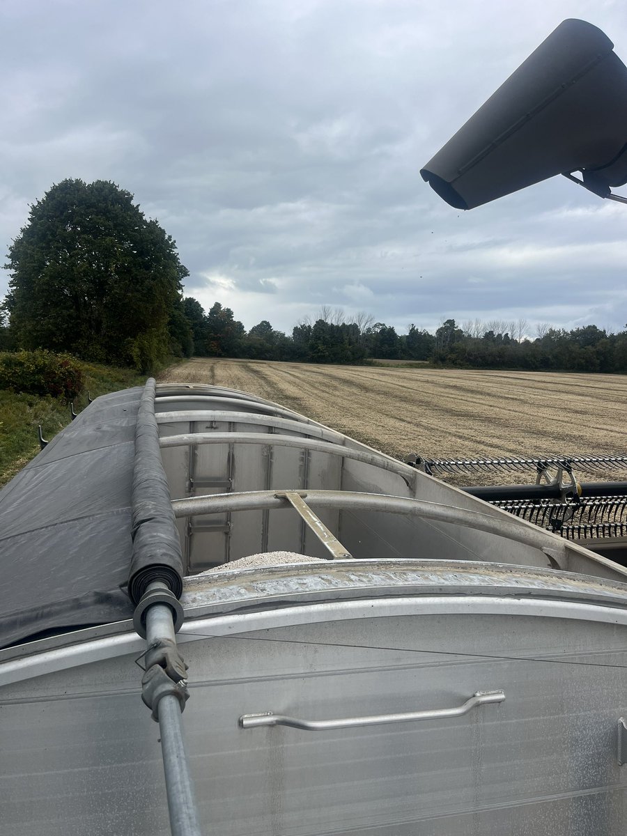 What are power tarps worth?  <a href="/Trevordovsky/">Trevor Cox</a> <a href="/JasonTait3/">Jason Tait</a>