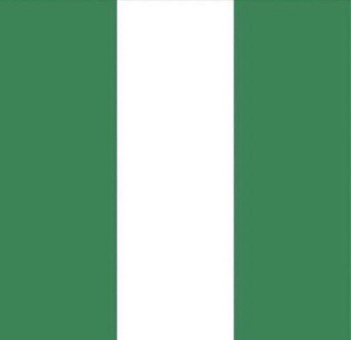 amiiildn's tweet photo. the face to make nigeria great again✊🏾 https://t.co/FqbcEokGzU