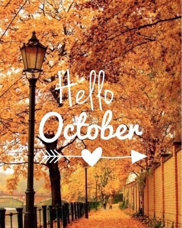 Morgan Miller Plumbing tweet media