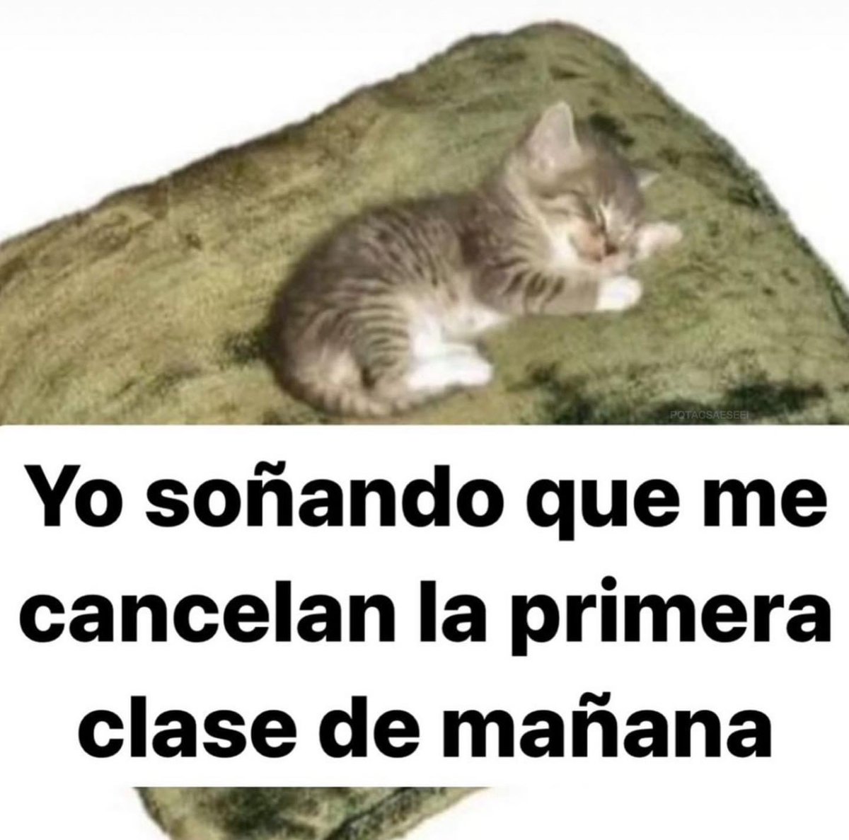 memes feos yo qué sé (@memefeos) on Twitter photo 