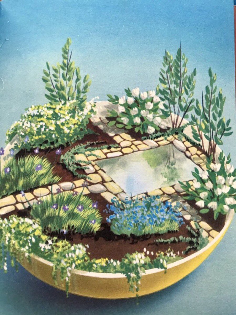 Helen Day tweet media