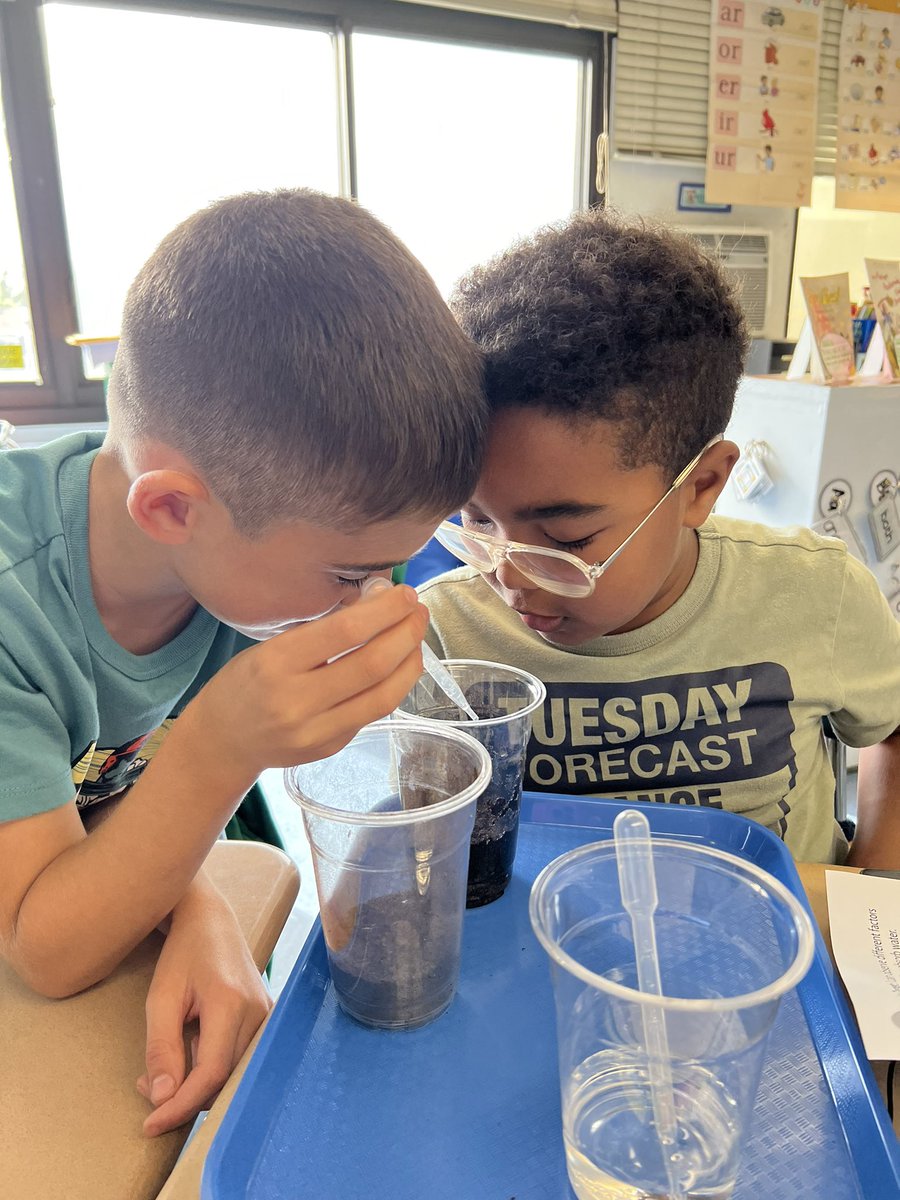 MsRedaelli tweet media