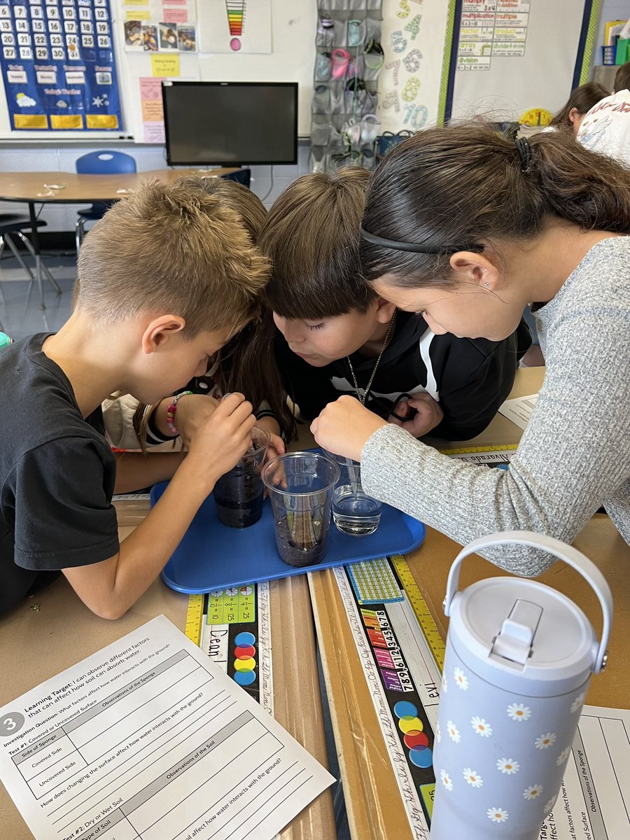 MsRedaelli tweet media