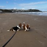 Photo by Wilson and Daisy - Mae (@Nidge_66)