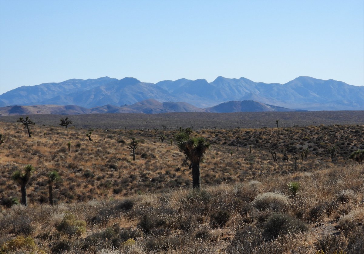 Basin & Range Watch tweet media