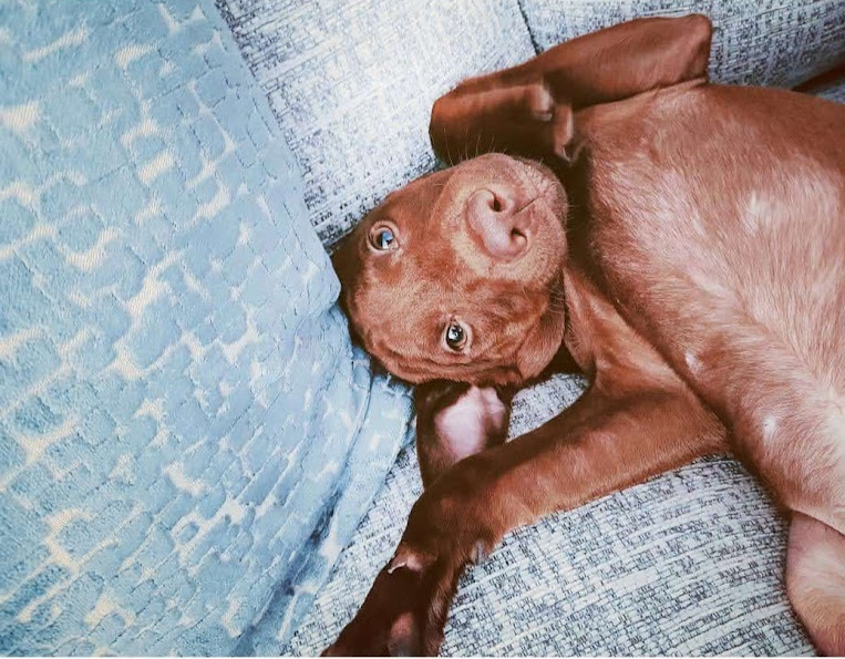 🌸🌿💞 Bev 💞 🌸🌿 tweet media