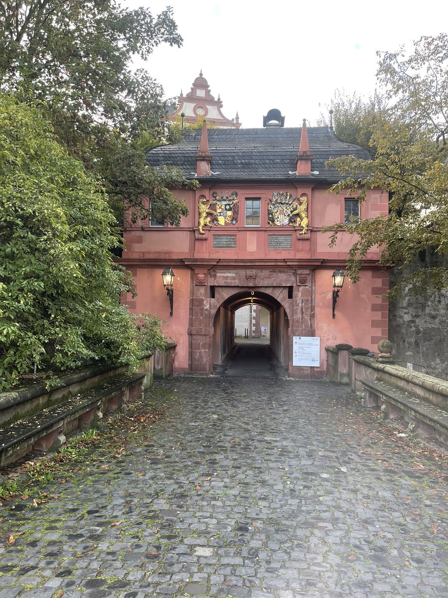 giu_dag's tweet photo. Super excited and grateful to have joined @linglitTUDA today 🏰🙏🏼 💻💌📖

Tomorrow we meet the other medievalists from Hessen! 🐲 https://t.co/CKuwD65Ue5