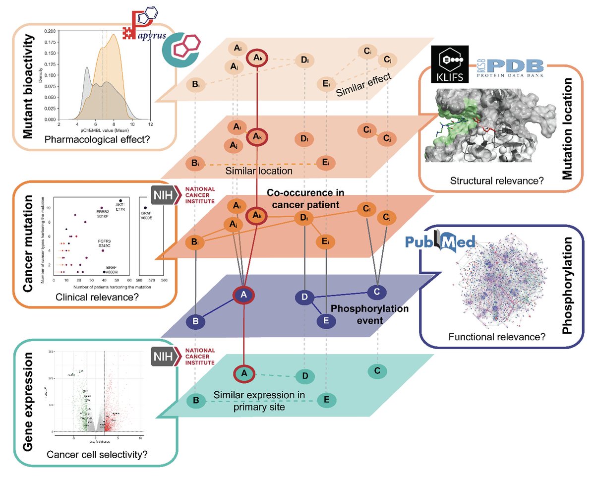 Computational Drug Discovery Leiden (@cddleiden) on Twitter photo The latest bij CDD Leiden: A patient-centric knowledge graph approach to prioritize mutants for selective anti-cancer targeting.
Great work by <a href="/m_gorostiola/">Marina Gorostiola González</a>
Preprint : lnkd.in/eU92WEJF
Data lives here: zenodo.org/records/112367… The latest bij CDD Leiden: A patient-centric knowledge graph approach to prioritize mutants for selective anti-cancer targeting.
Great work by <a href="/m_gorostiola/">Marina Gorostiola González</a>
Preprint : lnkd.in/eU92WEJF
Data lives here: zenodo.org/records/112367…
