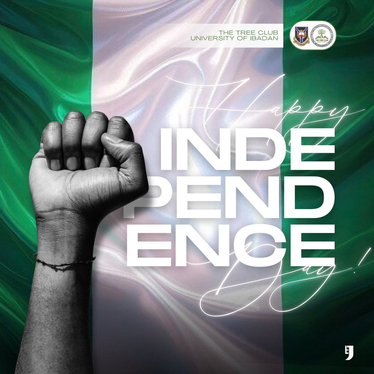 Tree Club, UI tweet media