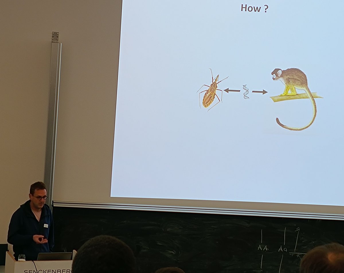 SPP 2349 GEvol (@spp_gevol) on Twitter photo 2nd day Gevol meeting started with a great talk by <a href="/KAPanfilio/">Kristen Panfilio</a>, we had a student meeting during our lunch break and a cool tour through the collection. Last but not least: typical Frankfurt dinner with Apfelwein. 2nd day Gevol meeting started with a great talk by <a href="/KAPanfilio/">Kristen Panfilio</a>, we had a student meeting during our lunch break and a cool tour through the collection. Last but not least: typical Frankfurt dinner with Apfelwein.