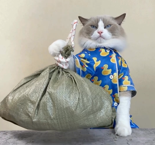 ctolilpuff's tweet photo. #LILPUFF is holding your bags with strength ! https://t.co/YVZJW4X8zU