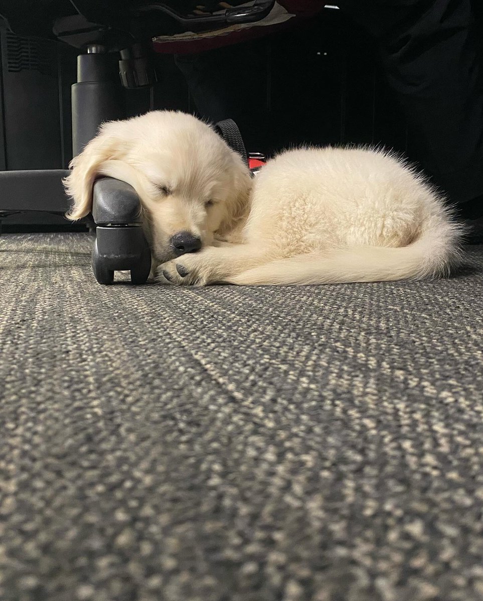 BHCC Police Department tweet media