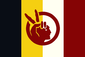 txarliselrac's tweet photo. Random flags! #vexiday https://t.co/j9bfqriOPU