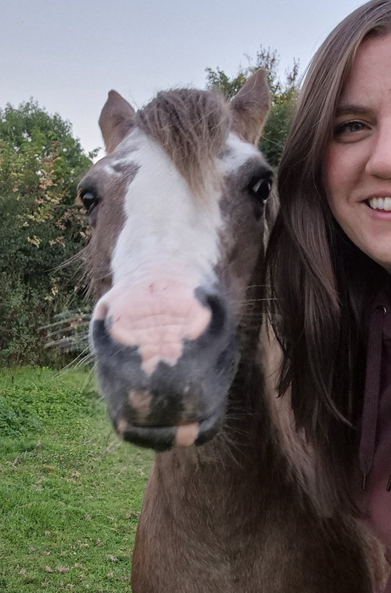 CeriJaneH's tweet photo. Instagram vs. reality
#earsback ๐
She is the kindest mare, though ๐ฉท
#ponyhour
#welshmountainpony
@aponyhour https://t.co/GXE5K6lU2Z