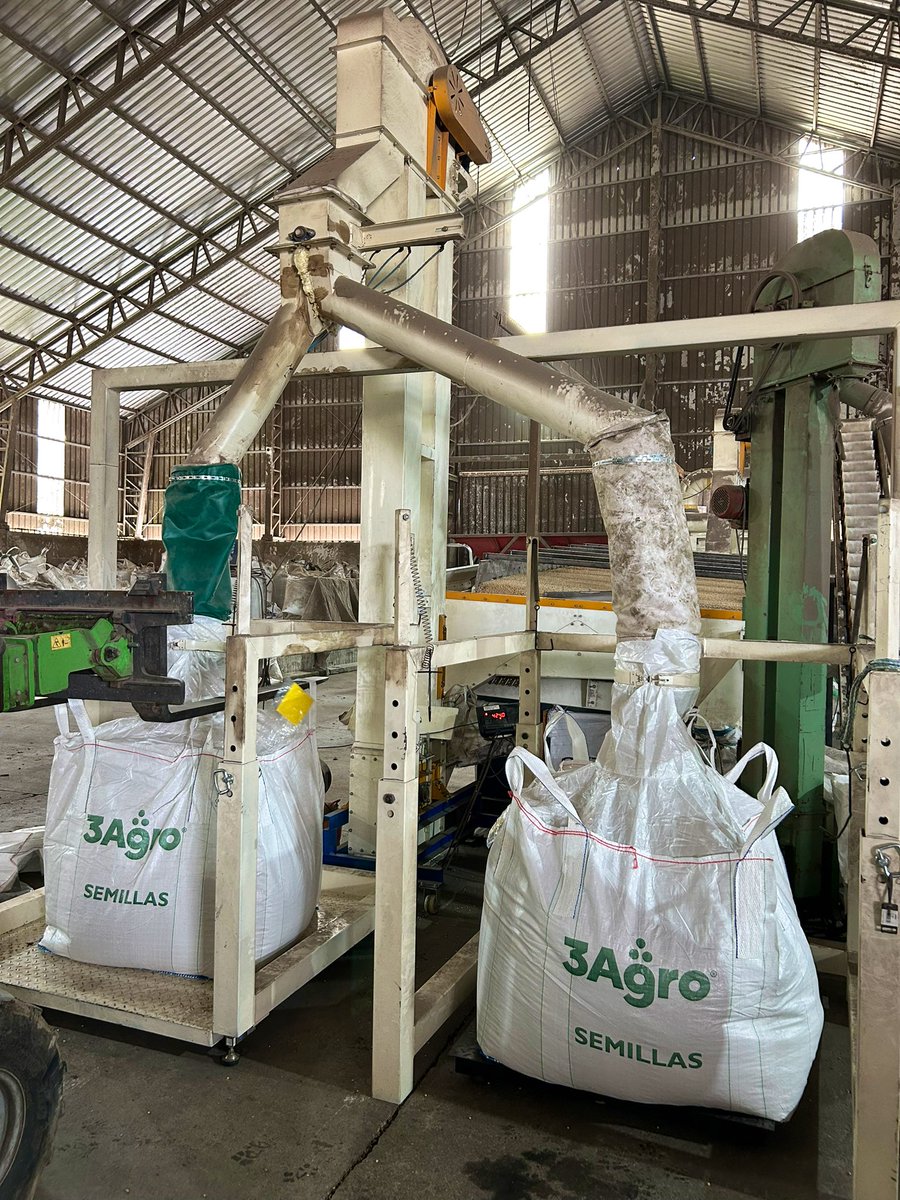 Santiago Bayce tweet media