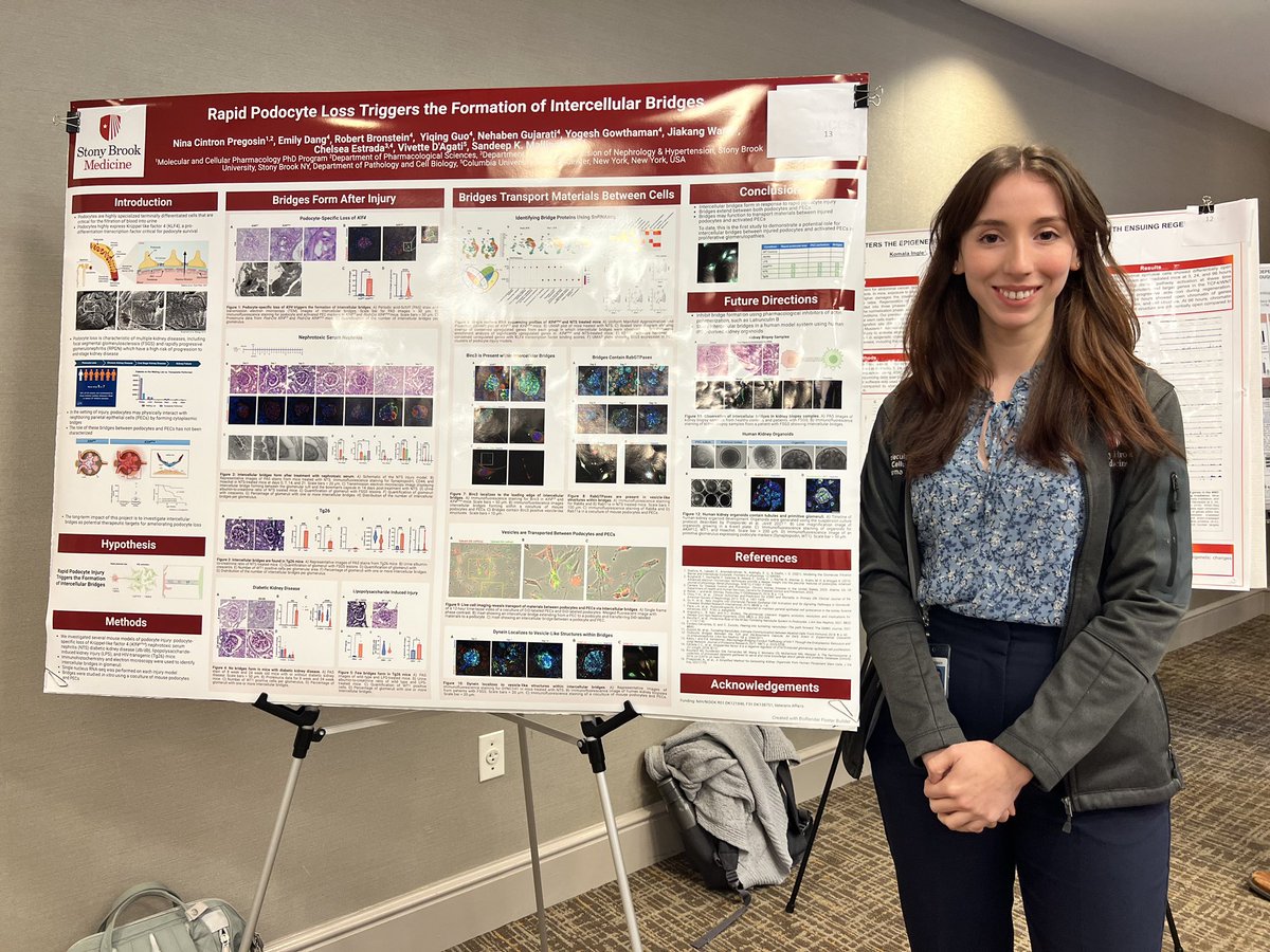 Congratulations <a href="/Ninapregosin/">Nina Cintron Pregosin</a> on winning best abstract, graduate student category, at the <a href="/sbudeptofmed/">Stony Brook Department of Medicine</a> research symposium <a href="/stonybrooku/">Stony Brook University</a>: “Rapid podocyte loss triggers the formation of intercellular bridges” 👏