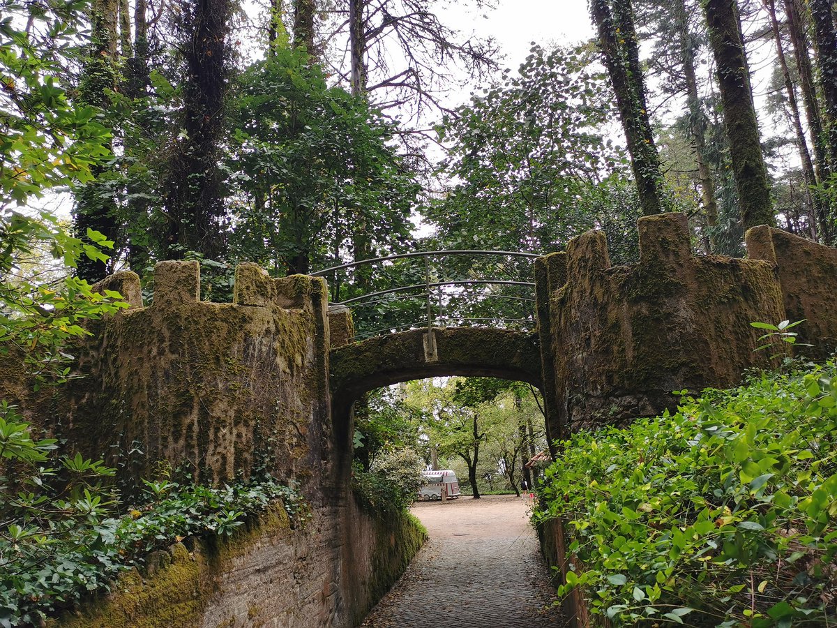 Sono una parte di tutto ciò che ho trovato sulla mia strada.
– Alfred Tennyson –

Parco "Palacio da Pena'
SINTRA, PT