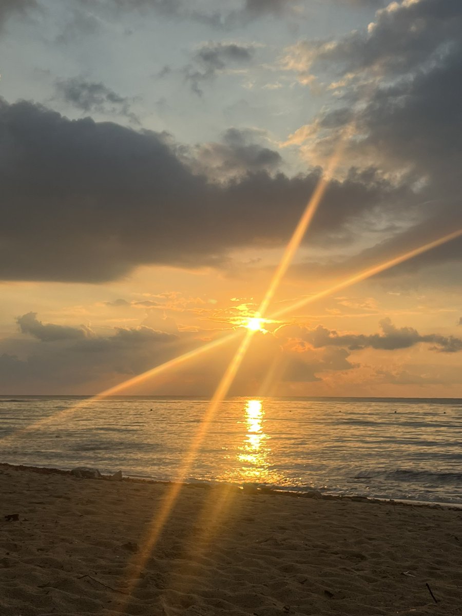 Ignacio Orozco tweet media