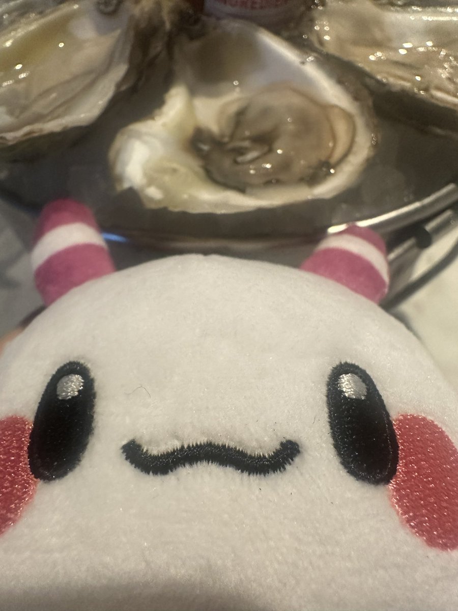 MATARA KAN 🪳🤍OF INDEPENDENT tweet media