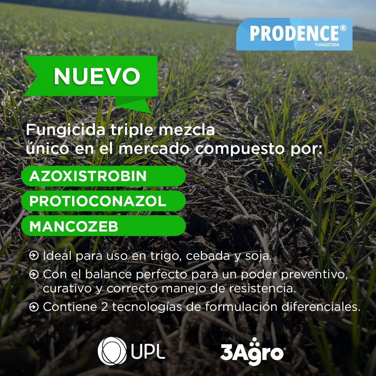 3agro's tweet photo. 🔥NUEVO⤵️
Les presentamos un nuevo fungicida triple mezcla único en el mercado compuesto por 𝗔𝘇𝗼𝘅𝗶𝘀𝘁𝗿𝗼𝗯𝗶𝗻 + 𝗣𝗿𝗼𝘁𝗶𝗼𝗰𝗼𝗻𝗮𝘇𝗼𝗹 + 𝗠𝗮𝗻𝗰𝗼𝘇𝗲𝗯

💬Consulta por este y otros productos de UPL exclusivos de 3Agro. https://t.co/Cw8MX1Rgxf