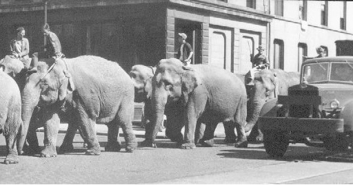 HCOC's tweet image. From juggling to acrobatics to balancing acts, the circus can be traced back to ancient times. For many small rural towns the circus was the only form of #entertainment all year, and #RochesterMN was no exception, especially in the early days. 1953 circus parade in Rochester.
