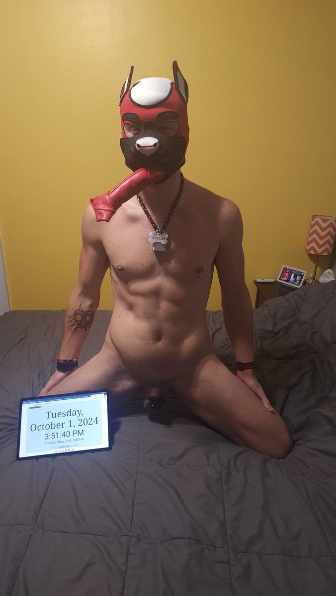 #locktober day 1 again! <a href="/MrSLeather/">Mr-S-Leather</a> #showyourlock <a href="/sirteddy1984/">SirTeddy</a> @alpha_colt #gaysub #gayjock #cagedjock #gaySlave  #gaypup #humanpup #gay #NSFW #teamlocked