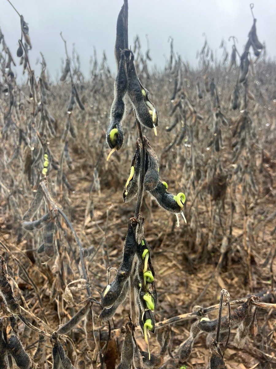 Eric Finkenbinder tweet media