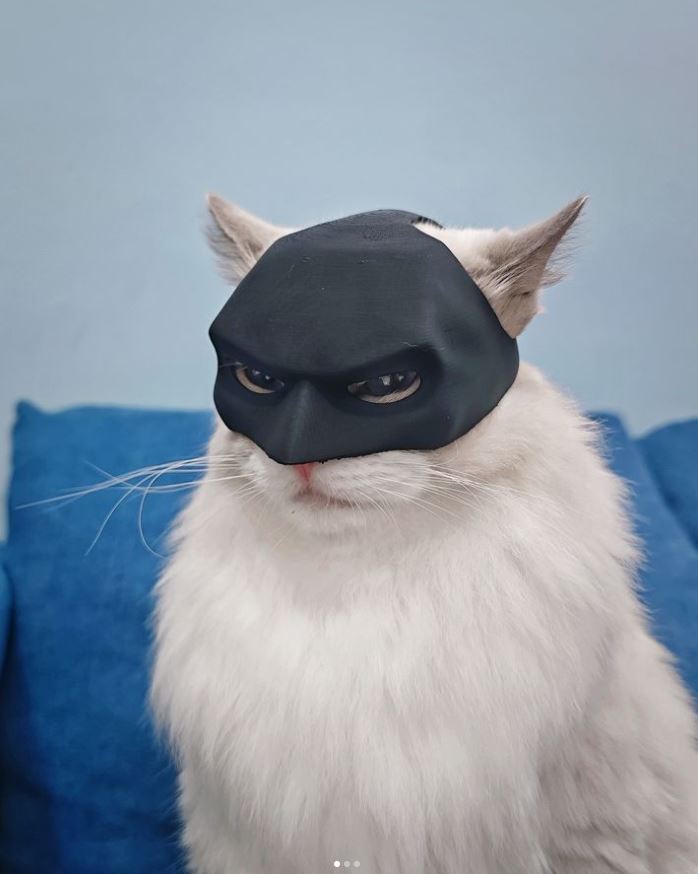 ctolilpuff's tweet photo. #LILPUFF at 26k !
Jeeters, Lil Puff Waine is watching you...
CA : 9ywMW777dZAtBqJpVwEN2rJpu3YehhRRRS4aq4iWJTWS https://t.co/60B8lSsADP