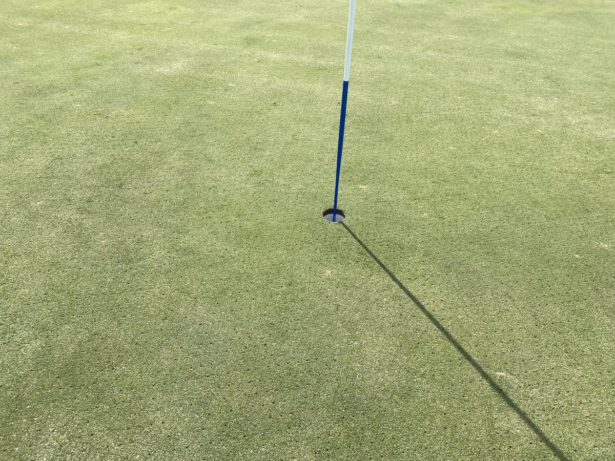 Viper tine. Nice results