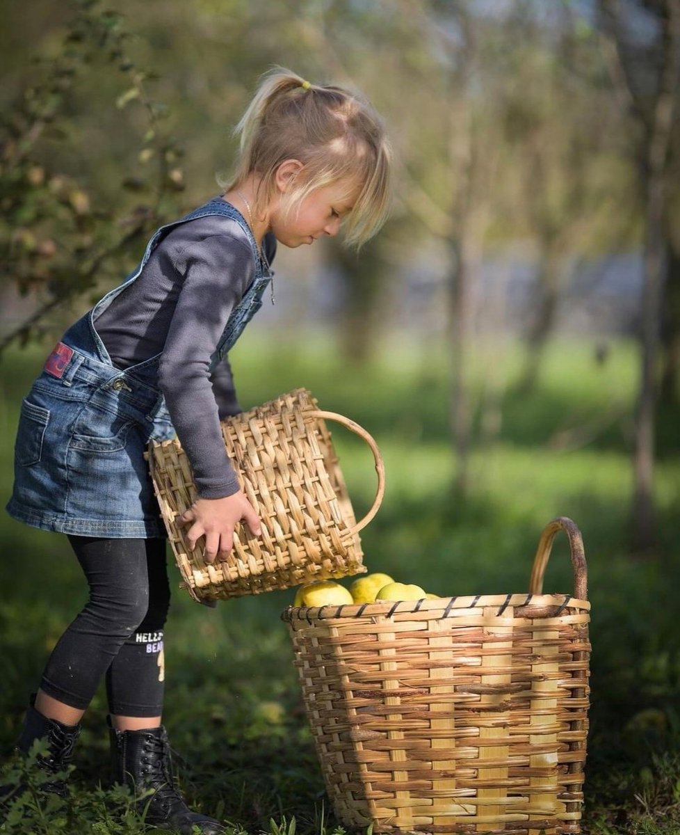 etnomaja's tweet photo. Шта вас највише асоцира на јесен? 🌾 https://t.co/IalMDwgFsb