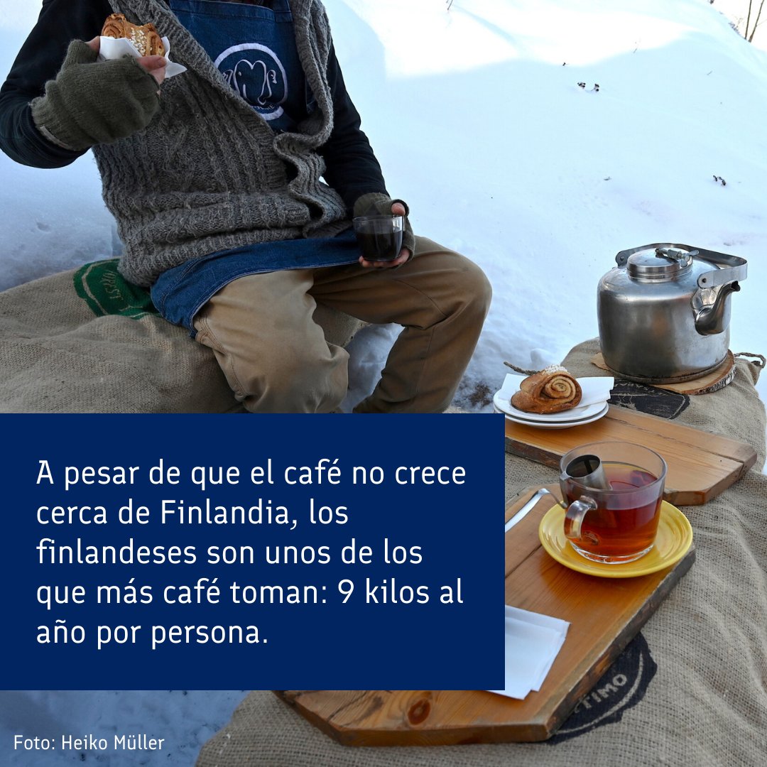 ☕ Feliz Día Internacional de Café! ☕

¿Sabías que los finlandeses son grandes amantes del café? Lo toman varias veces al día y tienen el mayor consumo de café per cápita en el mundo.

¿Ya preguntaste al finlandés o finlandesa en tu vida cuántas tazas de café se tomó hoy?